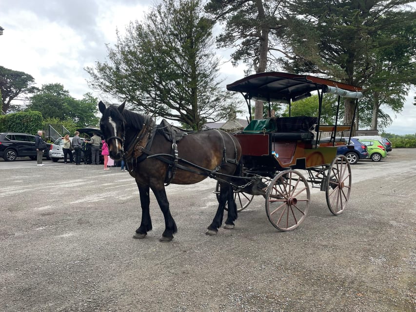 Killarney National Park Jaunting Car Tour - Into Killarney National Park for panoramic lakes and mountain views