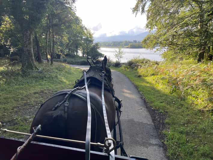 Killarney National Park Jaunting Car Tour - Lough Leane, lake learning, and the rhythm of the lakeshore