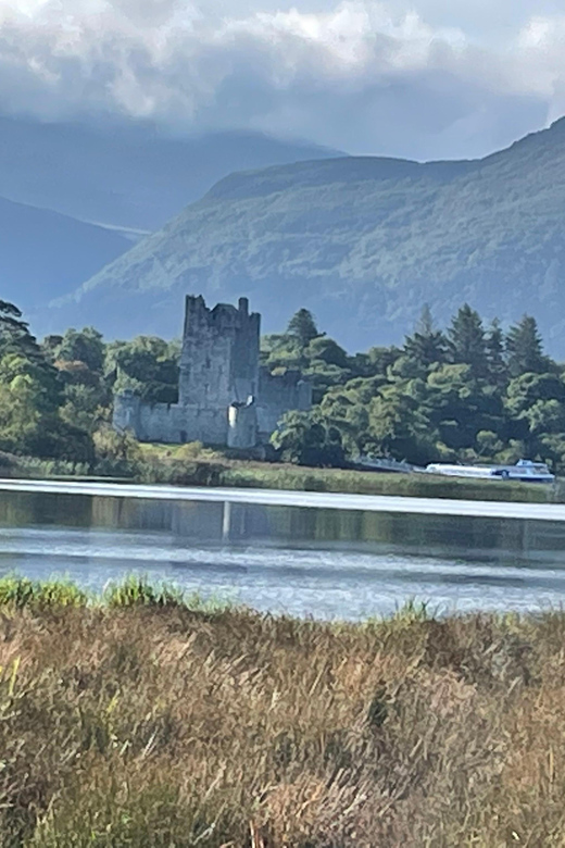 Killarney National Park Jaunting Car Tour - Passing Killarney Racecourse and returning to Beech Road