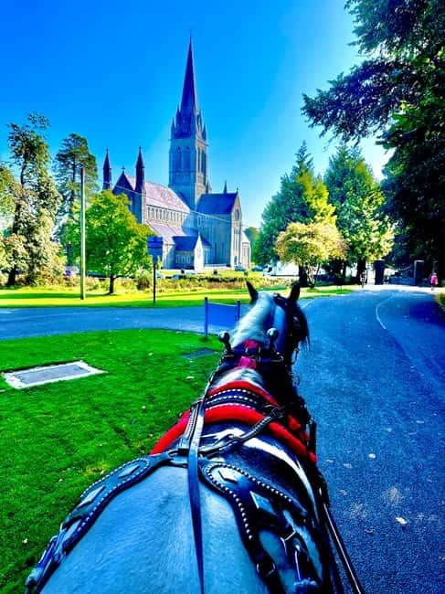 Killarney National Park Tour - Inside the Private Carriage: Comfort, Weather Cover, and Pace