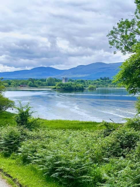 Killarney National Park Tour - Killarney National Park Lakes: Views, Wildlife Chances, and Great Photo Moments