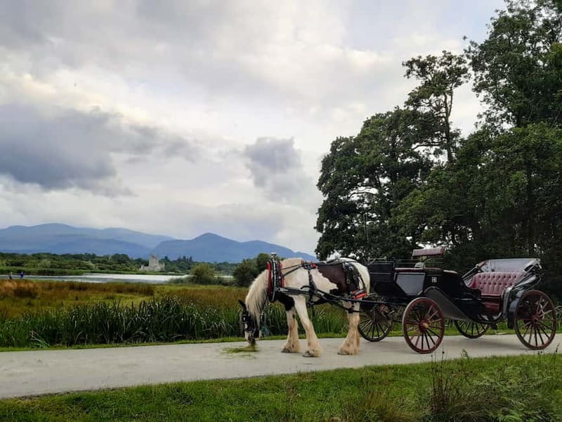 Killarney National Park Tour - The views that make this tour worth it, tallest mountain lines, the lakes, and Innisfallen Island