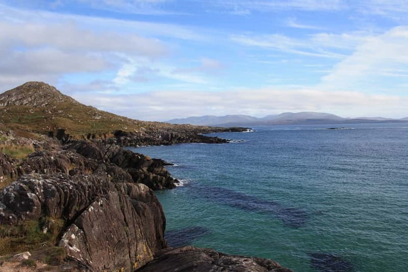 Killarney: Ring of Kerry Bus Tour - Killarney National Park: wildlife time and a nature reset