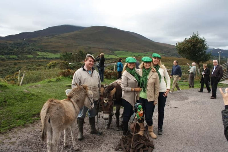 Killarney: Ring of Kerry Bus Tour - Killorglin: passing through Puck Fair country