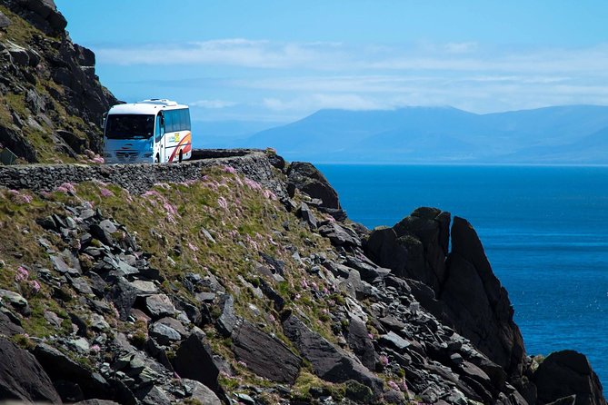 Killarney Super Saver: Dingle and Slea Head Day Trip plus Ring of Kerry and Killarney Lakes Day Trip - Key things to know before you go