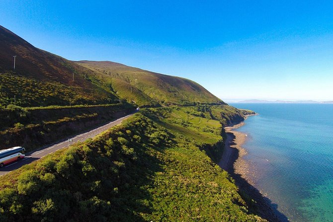 Killarney Super Saver: Dingle and Slea Head Day Trip plus Ring of Kerry and Killarney Lakes Day Trip - Kells Sheepdogs stop: the 30-minute sheepdog experience you should plan for