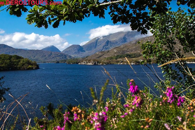 Killarney Super Saver: Dingle and Slea Head Day Trip plus Ring of Kerry and Killarney Lakes Day Trip - Meals, snacks, and what you can realistically expect