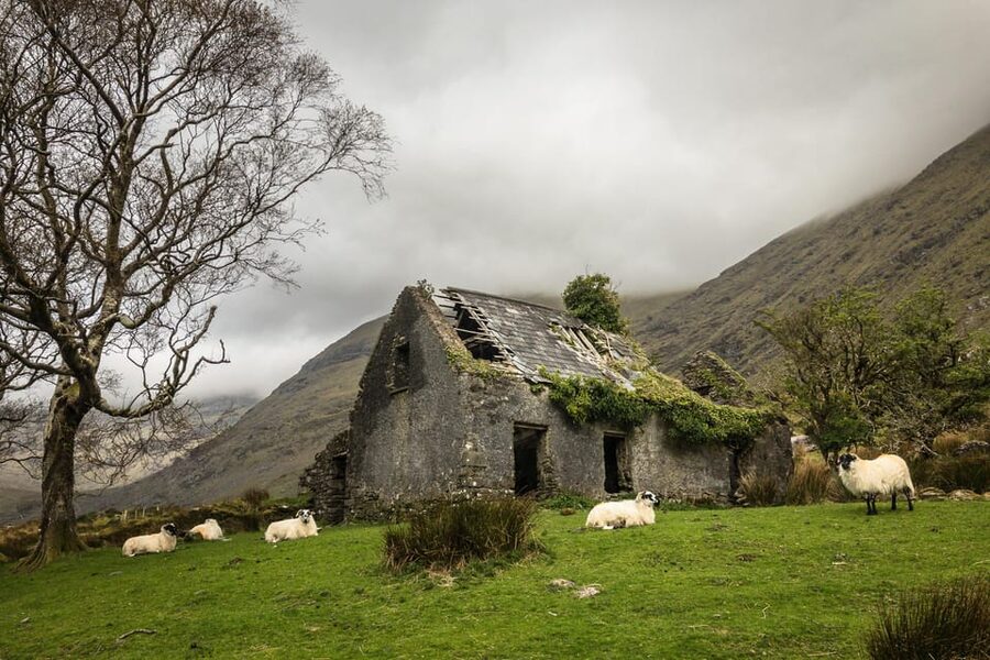 Killarney: The Ring of the Reeks - Backroads Rural Tour - What the lunch break in Kenmare actually does for your photos