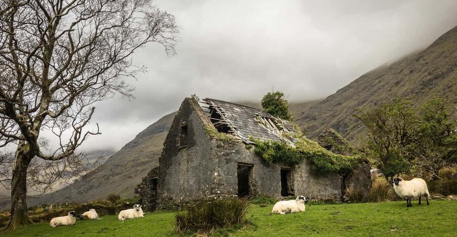 Killarney: The Ring of the Reeks - Backroads Rural Tour - Afternoon through the Black Valley, then returning toward Killarney