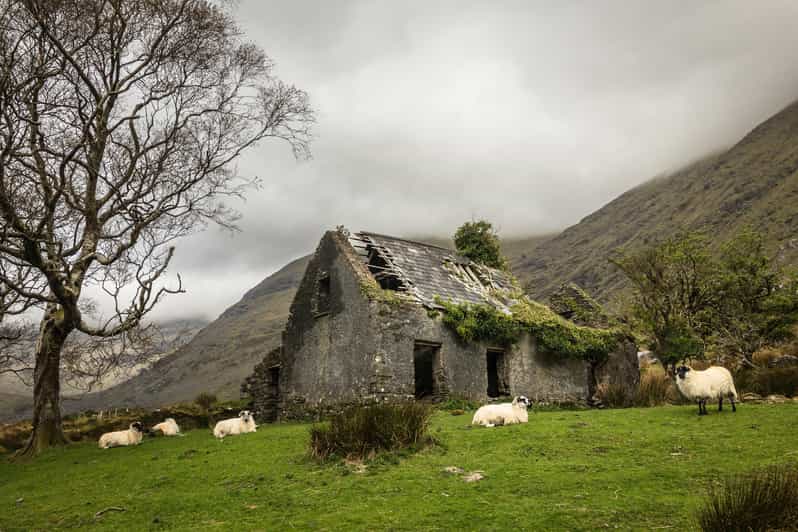 Killarney: The Ring of the Reeks - Backroads Rural Tour - Morning drive: Killarney to Glencar, Bridia Valley, and Ballaghbeama Gap
