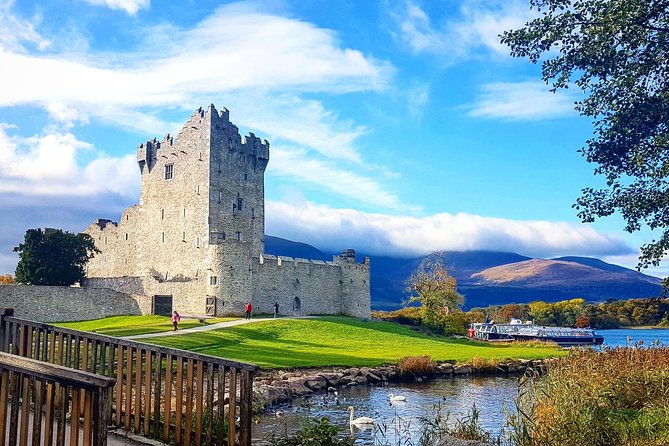 Lakes of Killarney Cruise - Copper Mines and Ancient Oaks: Nature and Human History in One Swoop