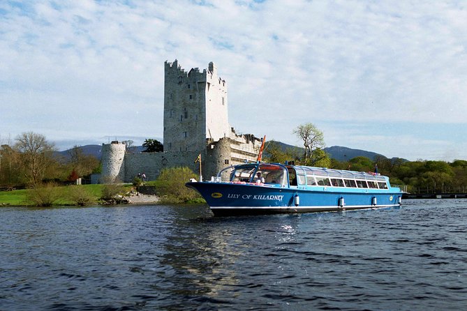 Lakes of Killarney Cruise - Wildlife Chances: Red Deer and White-Tailed Eagles (No Guarantees, Still Worth It)