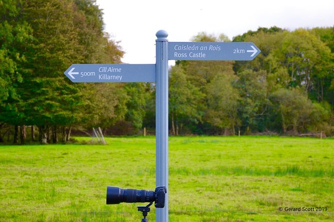 Luxury Photography Day Tour on Dingle Peninsula - Fully Guided and Chauffeured - Why a chauffeured photo day on Dingle Peninsula feels smarter than a bus tour