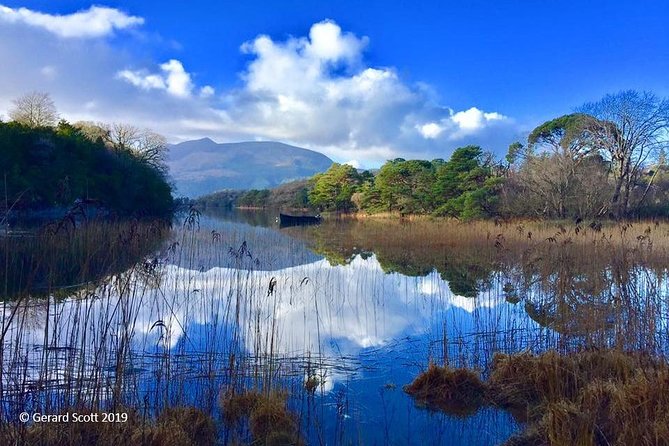 Luxury Photography Day Tour on Dingle Peninsula - Fully Guided and Chauffeured - Practical photo and comfort tips for your Dingle Peninsula day