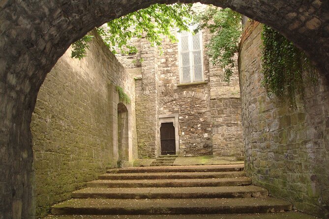 Medieval Dublin Walking Private Guided Tour - Starting at Dublin City Council, Where Dublin’s Archaeology Really Lands