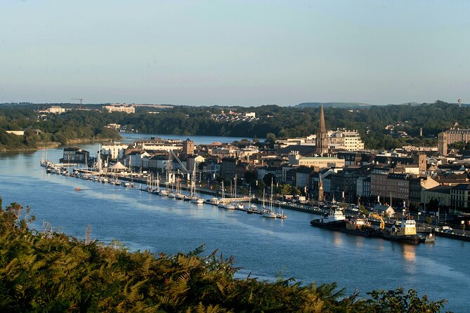 Osprey Viking Cruises - A River Suir cruise that turns landmarks into stories