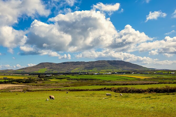 Personalized Full-Day Dingle Peninsula and Slea Head Drive Tour - Stop 3: Fairyfort (Lios Stone Circle and Animal Feeding) for ancient circles and sheep time