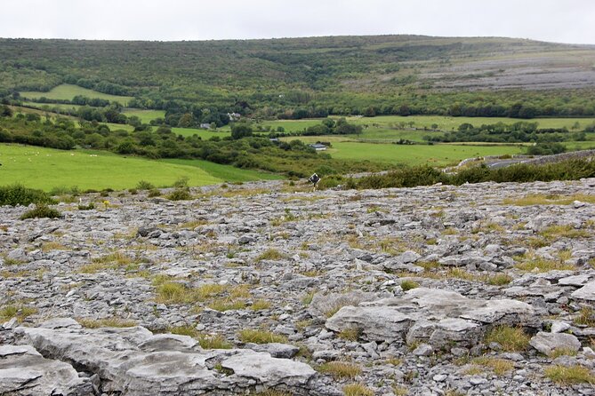 Private Burren and Cliffs of Moher Full Day Tour - Hazel Mountain Chocolates: coffee and a reset without the stress