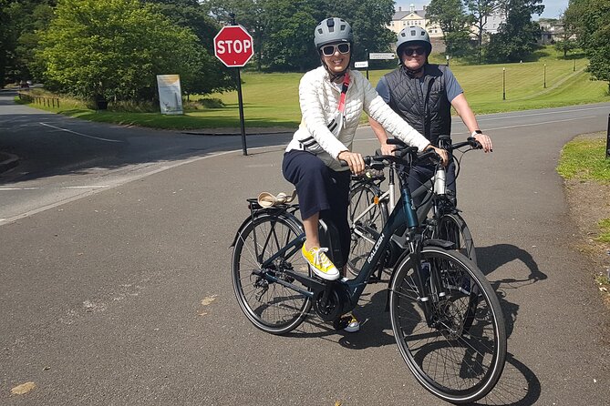 Private Dublin Historical and Heritage Tour by Bike - City-core landmarks: Grattan Bridge, Dublin Castle, and Dubh Linn Gardens