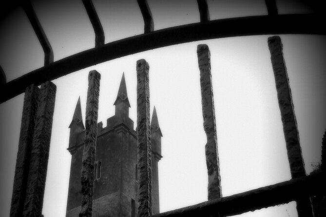 Private Ennis Dark History Tour with Dr Jane O'Brien (1-6 people) - Starting at Old Ground Hotel: Medieval Stone With a Haunting Reputation
