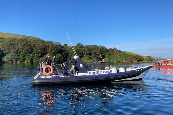 Private family sea safari - Captain Jimmy’s storytelling: why this trip gets top marks