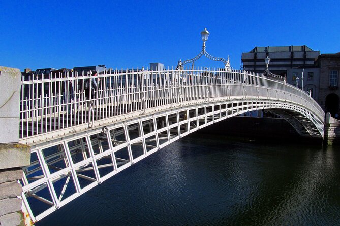Private Fantastic Walking Tour of Dublin - Leinster House and St Stephen’s Green: Parliament and Park Breaks