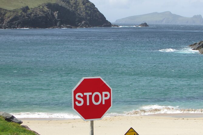 Private Full-Day Tour to Dingle and Slea Head - A quick drive through Dingle to set the scene