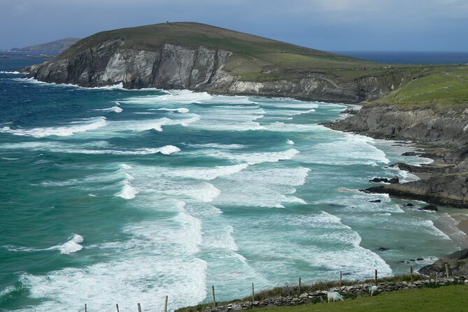 Private Full-Day Tour to Dingle and Slea Head - Kilmalkedar Church: Ogham Stone, Sun dial, alphabet stone