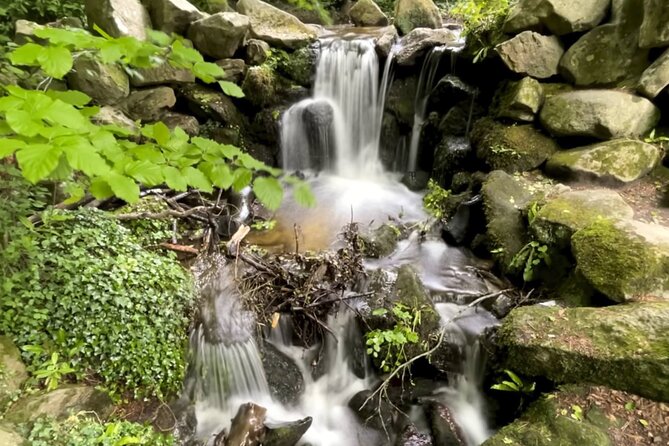 Private Garden of Ireland Wicklow Tour from Dublin - Key highlights worth your time