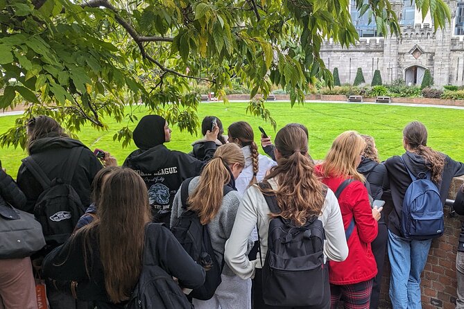 Private Guided Walking Tour in Dublin - Dublin’s medieval core, explained at street level