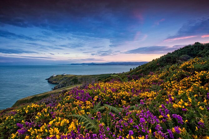 Private Howth Coastal Walk - Optional Howth Castle history and Lambay Island wallabies