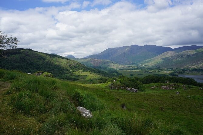 Private Ring of Kerry Highlights Tour from Cork, Car or Minibus - The Healy Pass stop: sheep, rocks, and a high photo payoff