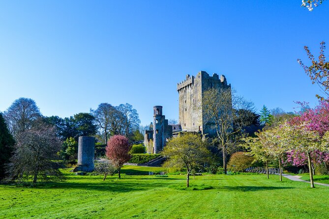 Private Tour: Classic Cork Tour visiting Blarney Castle & Kinsale - Key highlights worth prioritizing