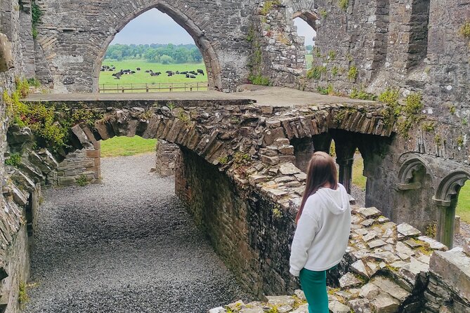 Private Tour from Dublin: Hill of Tara Trim Castle, Celtic sites - A Private Day Trip That Puts Prehistoric and Norman Ireland in One Route