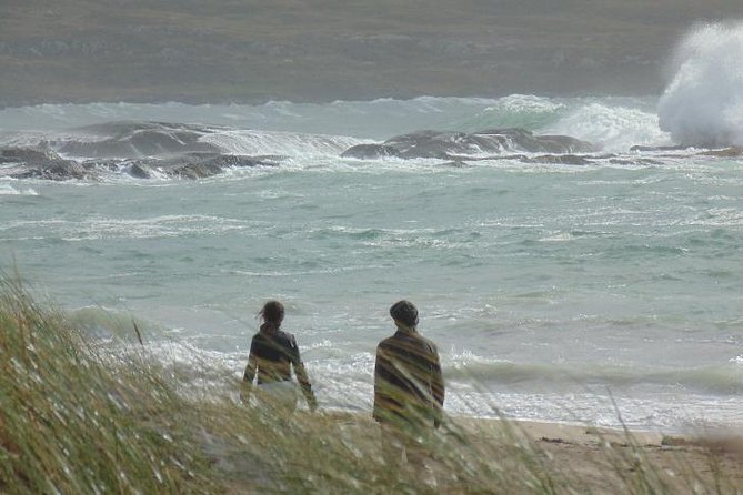Private Tour:Ring of Kerry,Kerry Cliffs, starting in (from) Killarney - Torc Waterfall in Primary Forest: A 30-Minute Reset