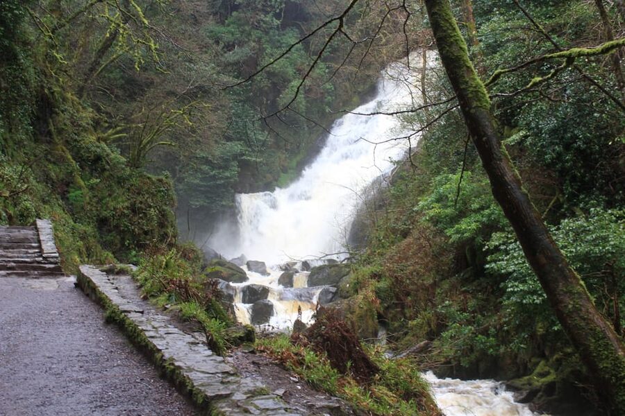 Private Wild Atlantic Day Tour from Cork - Timing and the reality of a full 8 hours