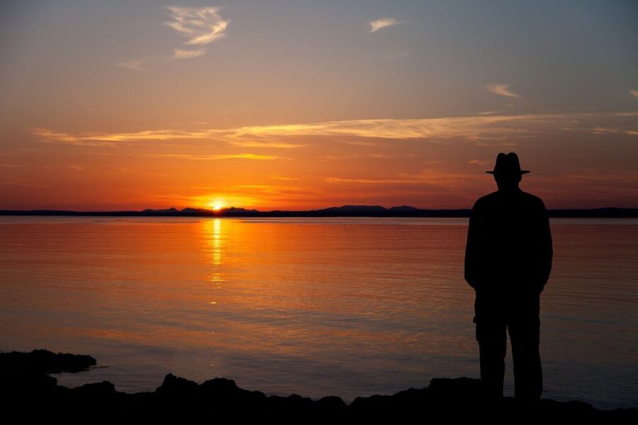 Rail Tour: The Cliffs of Moher & Bunratty Castle Tour - The return train to Dublin Heuston: what the end feels like