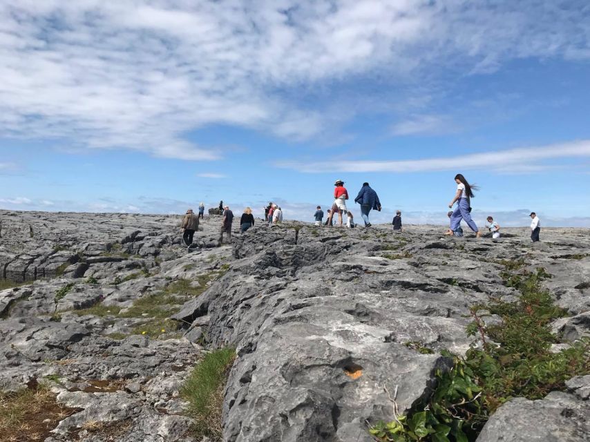 Rail Tour: The Cliffs of Moher & Bunratty Castle Tour - Price, value, and who this trip suits best at $158