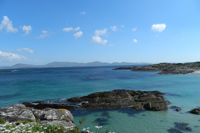 Ring of Kerry and Skellig Ring Private Tour - Ladies’ View and Torc Waterfall: The Killarney Classics