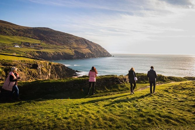 Ring of Kerry Day Tour from Cork: Including Killarney National Park - Morning departure from Cork: where the day starts and how to prep