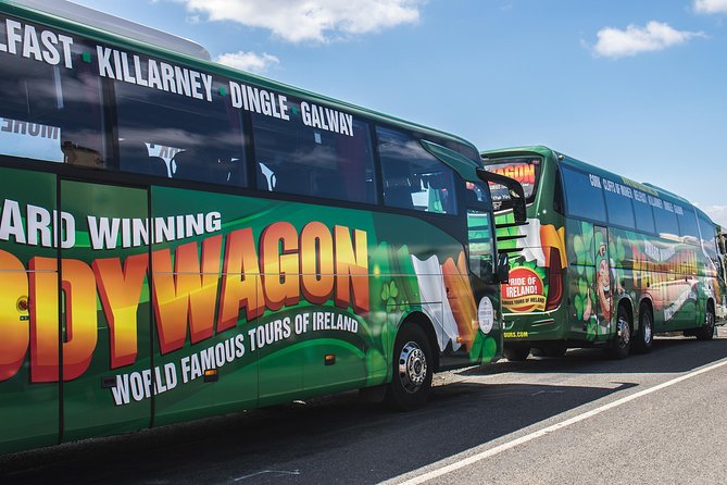 Ring of Kerry Day Tour from Cork: Including Killarney National Park - Passing through Killorglin: the goat-king festival connection