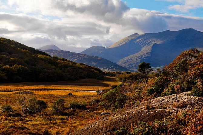Ring of Kerry Day Tour from Cork: Including Killarney National Park - Killarney Town stop: a useful reset before the scenery shift