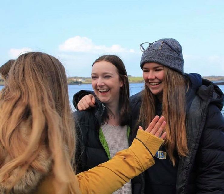 Ring of Kerry Full-Day Tour from Limerick - Key highlights worth aiming for