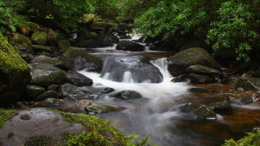Ring of Kerry Full-Day Tour from Limerick - Torc Waterfall and Friars Glenn: the 18-meter payoff