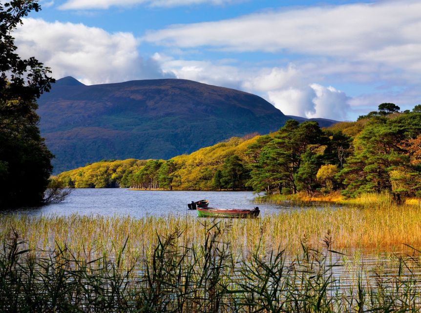 Ring of Kerry Full-Day Tour from Limerick - Killarney town time: refresh, shop a bit, and eat lunch your way