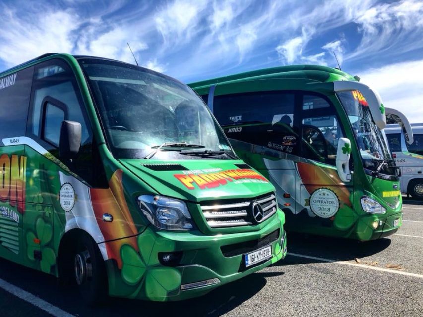 Ring of Kerry Full-Day Tour from Limerick - From Limerick to Killorglin and the River Laune: the day’s momentum