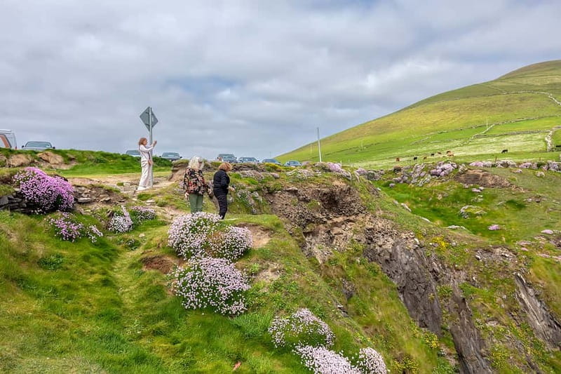 Ring of Kerry & Kerry Cliffs: Private Tour from Killarney - Should you book it?
