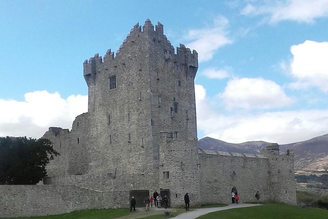 Ring of Kerry & Skellig Ring - Private Mini Bus Tour - Key Things I’d Bank On Before You Book