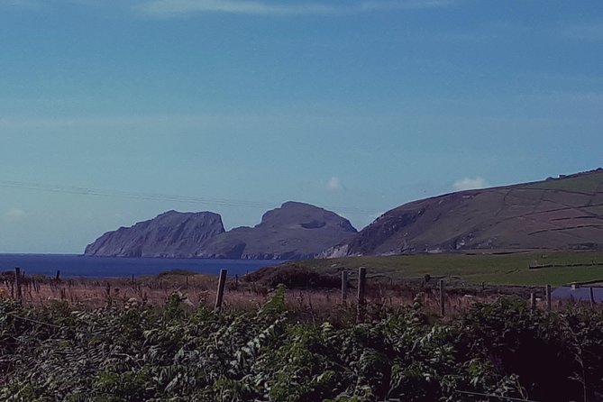 Ring of Kerry & Skellig Ring - Private Mini Bus Tour - Stop 1: Kerry Bog Village Museum and the Turf-Fueled Past