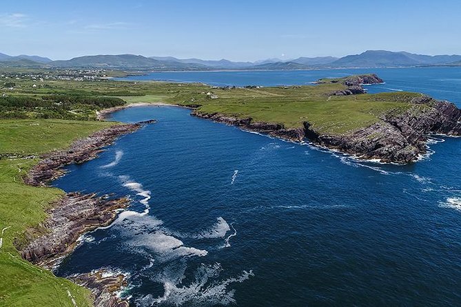 Ring Of Kerry Tour - Kells Sheepdogs Ring of Kerry: The Optional Moment Worth Planning For